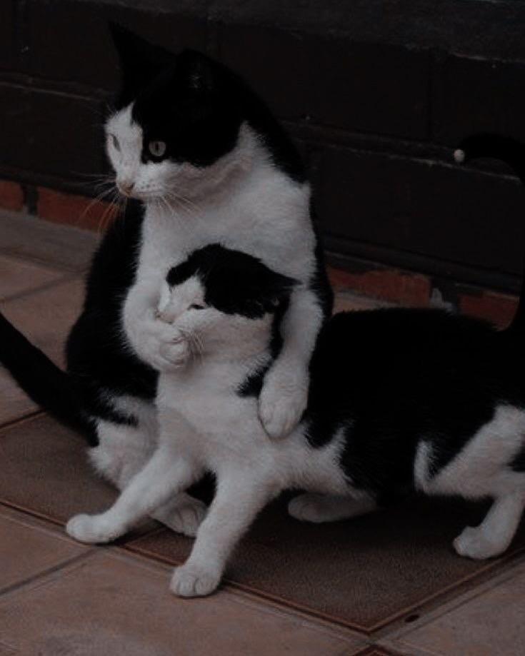 Trời xanh mây trắng