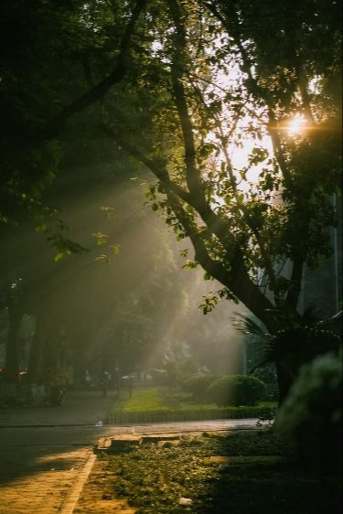Hạ Rời Đi Là Lúc Người Quay Đầu 