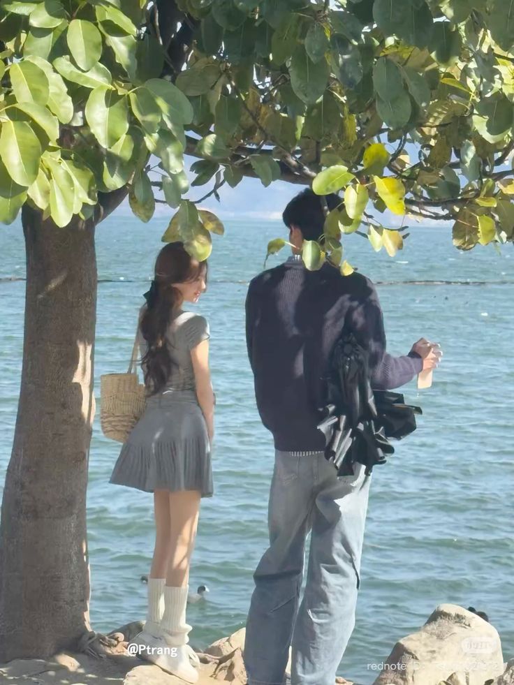 Tường Vi Chẳng Đổi Thay