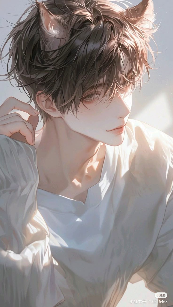 Tôi là một con mèo thú nhân tam thể đực lông dài bị trả hàng tới ba lần